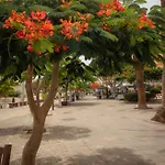 Daire El Carmen