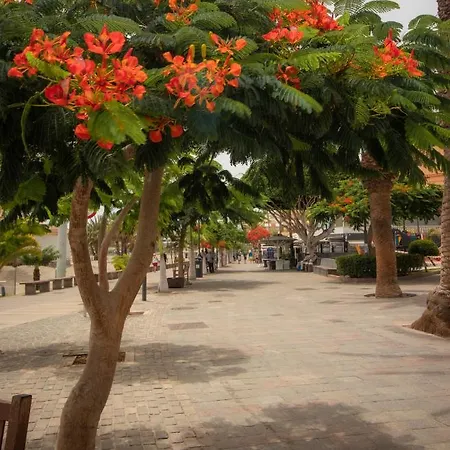 Apartment El Carmen